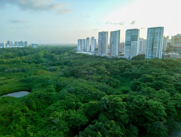 Découvrez camping le colombier : votre oasis naturelle